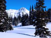 Whistler, British Columbia, Canada 25