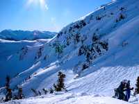 Whistler, British Columbia, Canada 07
