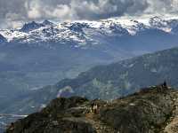 Whistler Alpine, British Columbia, Canada, CM11-05