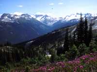 Whistler, British Columbia, Canada 15
