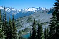 Whistler Alpine, British Columbia, Canada, CM11-18