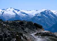 Whistler Alpine Hiking, British Columbia, Canada, CM11-22