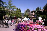Whistler Village, 2010 Olympic Host City, British Columbia, Canada CM11-005