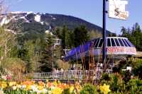 Whistler Village, British Columbia, Canada CMX-003