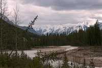 Yoho National Park, British Columbia, Canada CM11-21