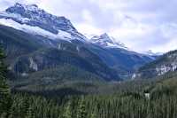 Yoho National Park, 2011, British Columbia, Canada CM11-020