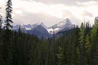 Yoho National Park, 2011, British Columbia, Canada CM11-030