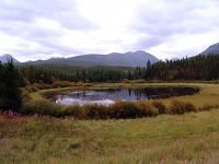 Alaska Highway, Yukon, Canada  11