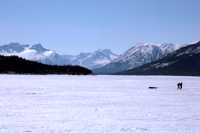 Carcross, Yukon CM11-03