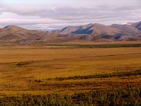 Dempster Highway, Yukon, Canada   27 