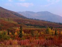 Dempster Highway, Fall Colours, Ogilivie Mountains, Richardson Mountains, Yukon, Canada  23