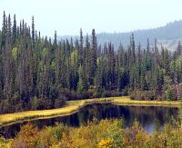 Klondike Highway, Yukon, Canada  08 
